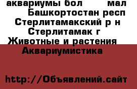 аквариумы бол 1500, мал 500 - Башкортостан респ., Стерлитамакский р-н, Стерлитамак г. Животные и растения » Аквариумистика   